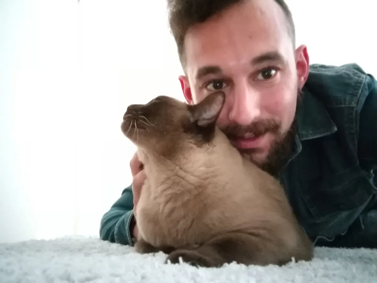 Un pet-sitter caresse un chat brun allongé sur un tapis