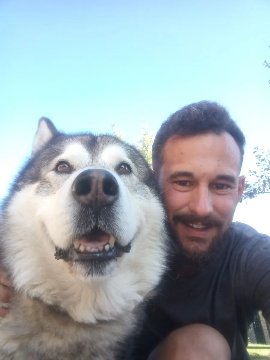 Un pet-sitter avec un grand chien gris et blanc