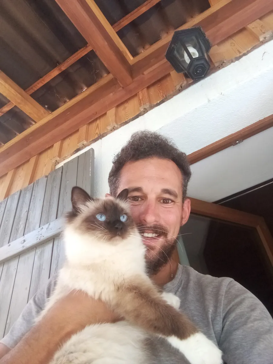 Un pet-sitter porte dans ses bras un chat aux yeux bleus